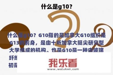 什么是g10？