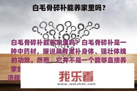 白毛骨碎补能养家里吗？