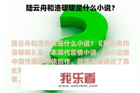 陆云舟和洛暖暖是什么小说？