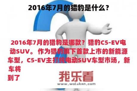 2016年7月的猎豹是什么？