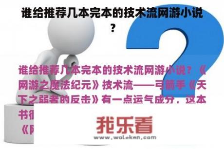 谁给推荐几本完本的技术流网游小说？