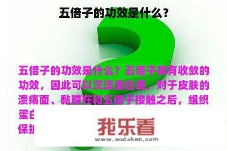 五倍子的功效是什么？