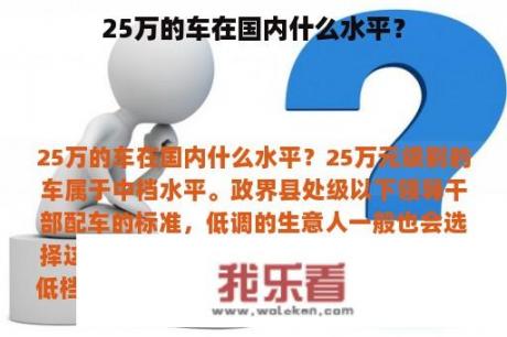 25万的车在国内什么水平？