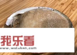 大鲍鱼怎么杀和清洗？