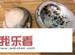 大鲍鱼怎么杀和清洗？