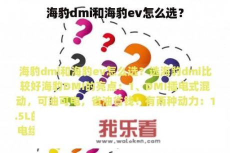 海豹dmi和海豹ev怎么选？