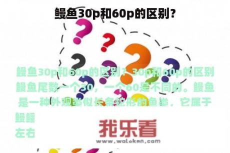 鳗鱼30p和60p的区别？