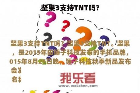 坚果3支持TNT吗？