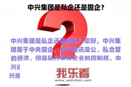 中兴集团是私企还是国企？