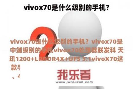 vivox70是什么级别的手机？