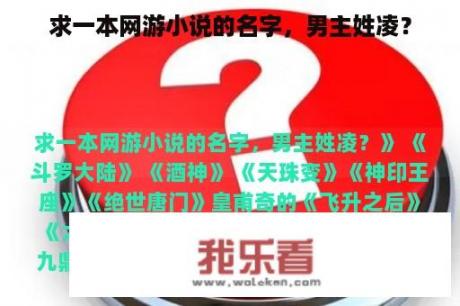 求一本网游小说的名字，男主姓凌？