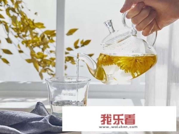 菊花茶怎么泡才正确？