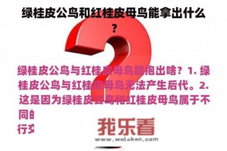 绿桂皮公鸟和红桂皮母鸟能拿出什么？