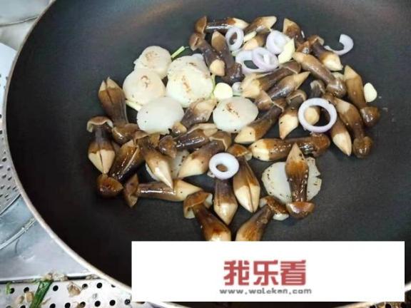 鸡枞菌怎么吃，鸡枞菌的做法？