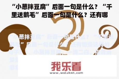 “小葱拌豆腐”后面一句是什么？“千里送鹅毛”后面一句是什么？还有哪些这样的句子？