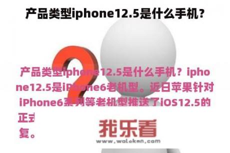 产品类型iphone12.5是什么手机？