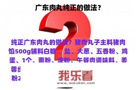 广东肉丸纯正的做法？