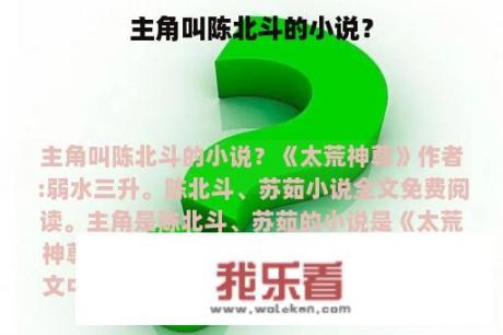 主角叫陈北斗的小说？