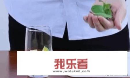 怎样在家自制莫吉托鸡尾酒？