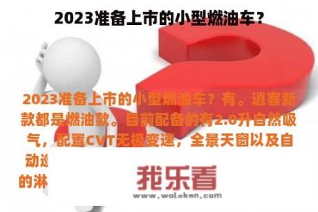 2023准备上市的小型燃油车？