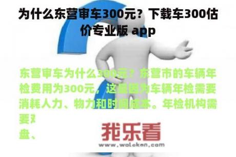 为什么东营审车300元？下载车300估价专业版 app