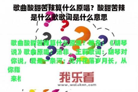 歌曲酸甜苦辣算什么原唱？酸甜苦辣是什么歌歌词是什么意思