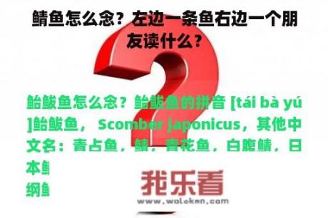 鲭鱼怎么念？左边一条鱼右边一个朋友读什么？