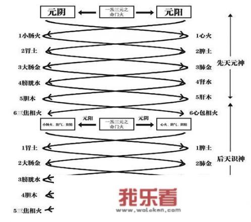 如果自学中医，先学什么？后学什么？要学哪些科目就可济世救人？史上最难的手抄报