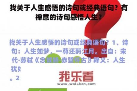 找关于人生感悟的诗句或经典语句？有禅意的诗句感悟人生？