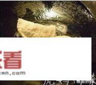 如何自制油炸冰淇淋？空气炸锅炸冰淇淋做法？