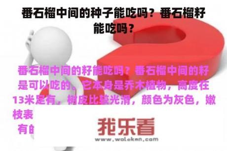 番石榴中间的种子能吃吗？番石榴籽能吃吗？