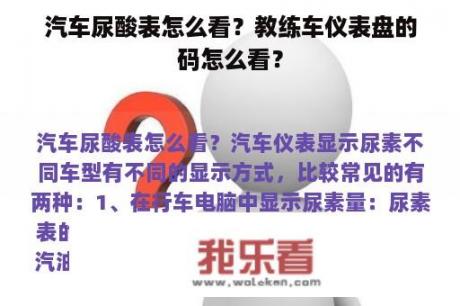 汽车尿酸表怎么看？教练车仪表盘的码怎么看？