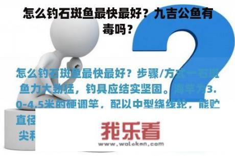 怎么钓石斑鱼最快最好？九吉公鱼有毒吗？