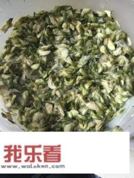 槐花包子素馅做法？槐花肉饺子好吃还是素饺子好吃？