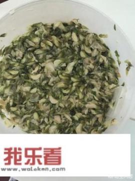 槐花包子素馅做法？槐花肉饺子好吃还是素饺子好吃？