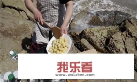 椒盐土豆怎么做？怎样做椒盐土豆？