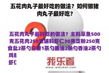 五花肉丸子最好吃的做法？如何做猪肉丸子最好吃？