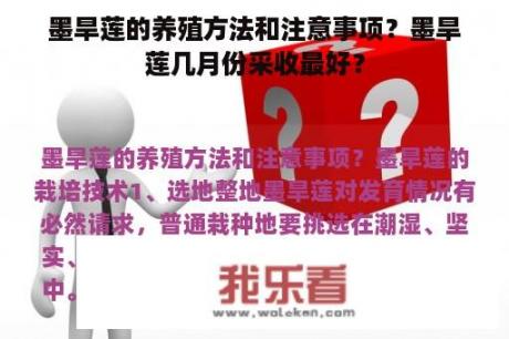 墨旱莲的养殖方法和注意事项？墨旱莲几月份采收最好？