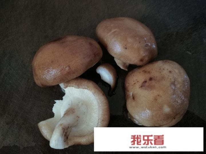 适合砂锅炖锅的菜品？砂锅煨汤家常做法？