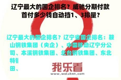 辽宁最大的国企排名？威驰分期付款首付多少钱自动挡1、3排量？