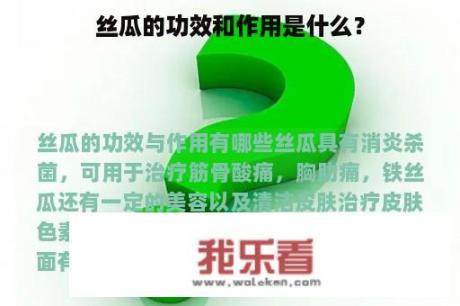 丝瓜的功效和作用是什么？