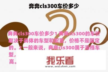 奔奔cls300车价多少