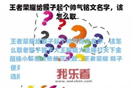 王者荣耀给猴子起个帅气铭文名字，该怎么取