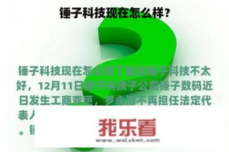 锤子科技现在怎么样？