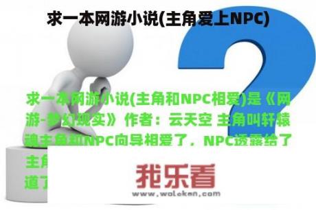 求一本网游小说(主角爱上NPC)