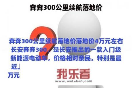 奔奔300公里续航落地价