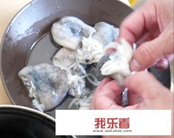 海兔子怎么清洗