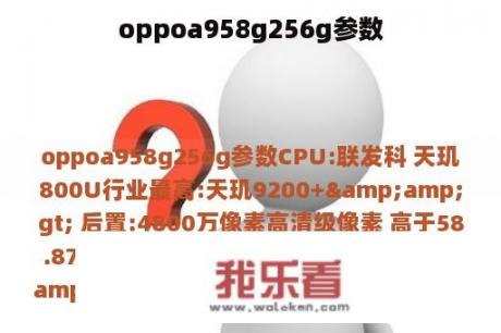 oppoa958g256g参数