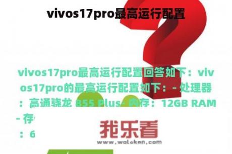 vivos17pro最高运行配置