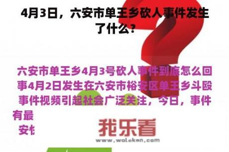 4月3日，六安市单王乡砍人事件发生了什么？